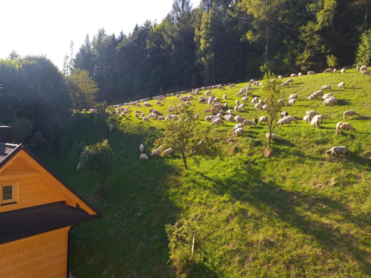 Domek pod Groniem Mizerna Zewnętrze zdjęcie